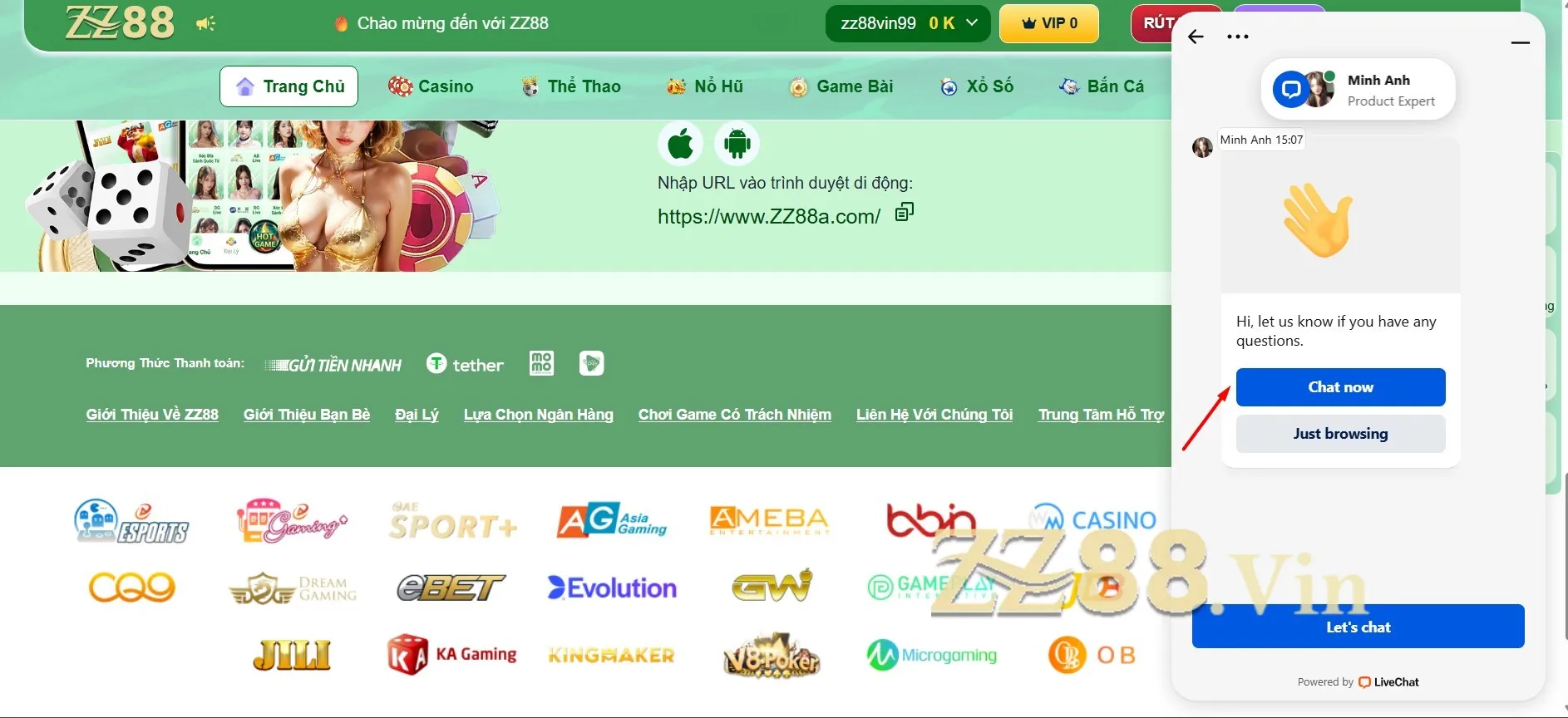 chăm sóc khách hàng zz88 vin